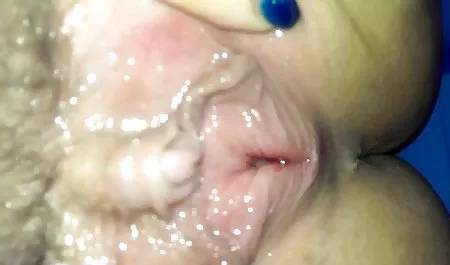 黑公鸡，白色的猫