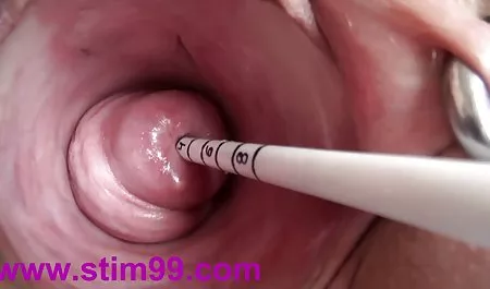 在摩洛伊斯兰解放阵线时代的女同性恋和他们的绑带假阳具